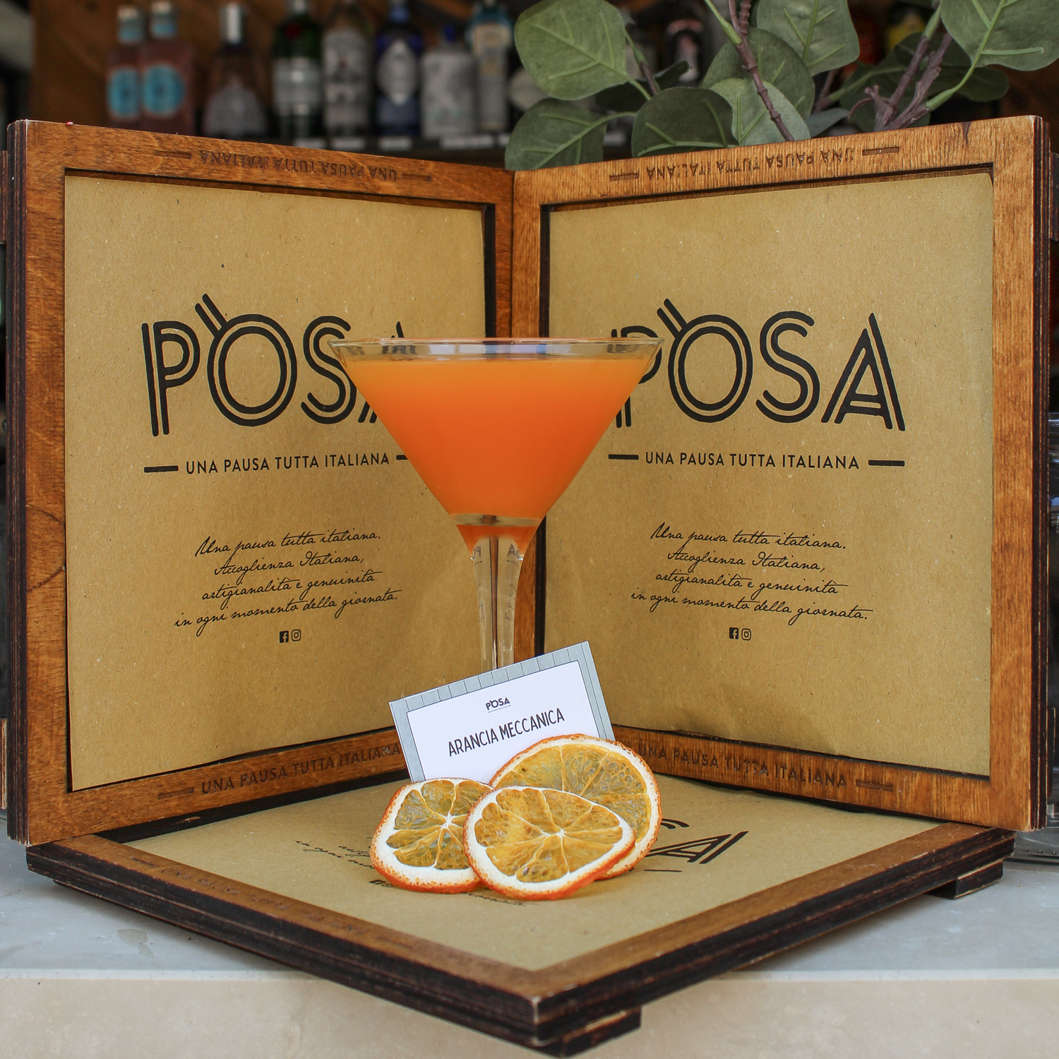 20220614115318_IMG_9463-(1)